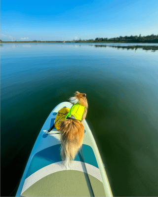 Cheezburger Image 10613842944