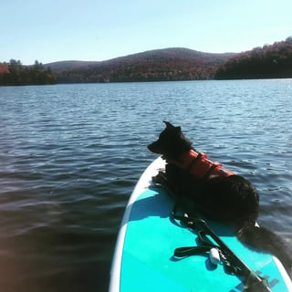 Cheezburger Image 10613843712