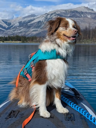 Cheezburger Image 10613844480