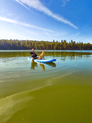 Cheezburger Image 10613844736