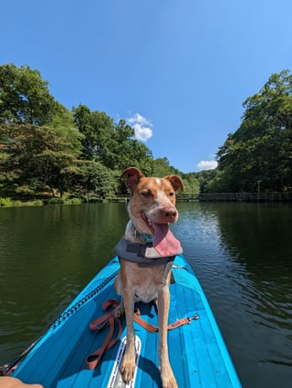 Cheezburger Image 10613845248