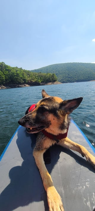 Cheezburger Image 10613845760