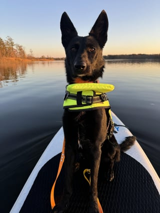 Cheezburger Image 10613846528