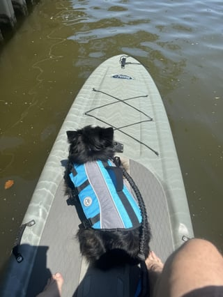 Cheezburger Image 10613847040