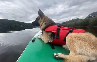 Cheezburger Image 10613847296