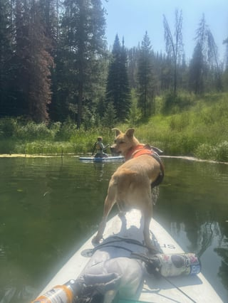 Cheezburger Image 10613847552