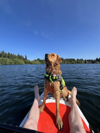 Cheezburger Image 10613847808