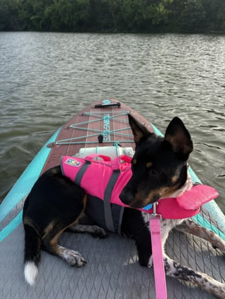 Cheezburger Image 10613848320