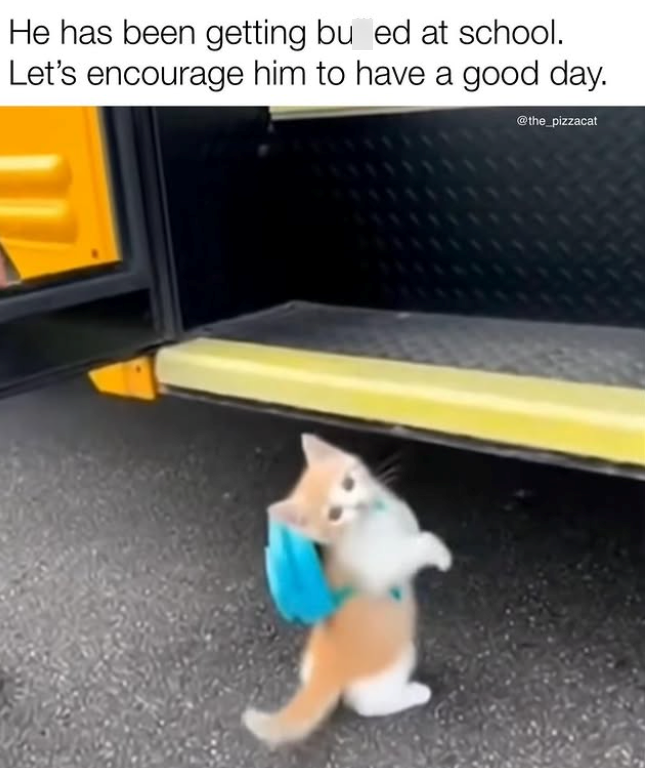 He has been getting bu ed at school. Let's encourage him to have a good day. @the_pizzacat
