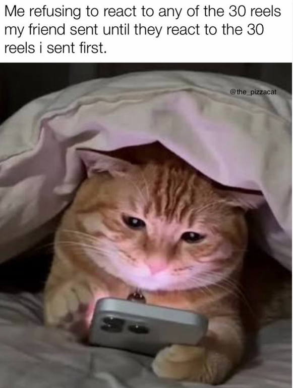 Me refusing to react to any of the 30 reels my friend sent until they react to the 30 reels i sent first. @the_pizzacat