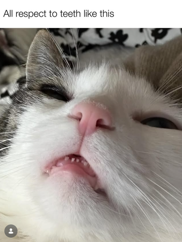 All respect to teeth like this