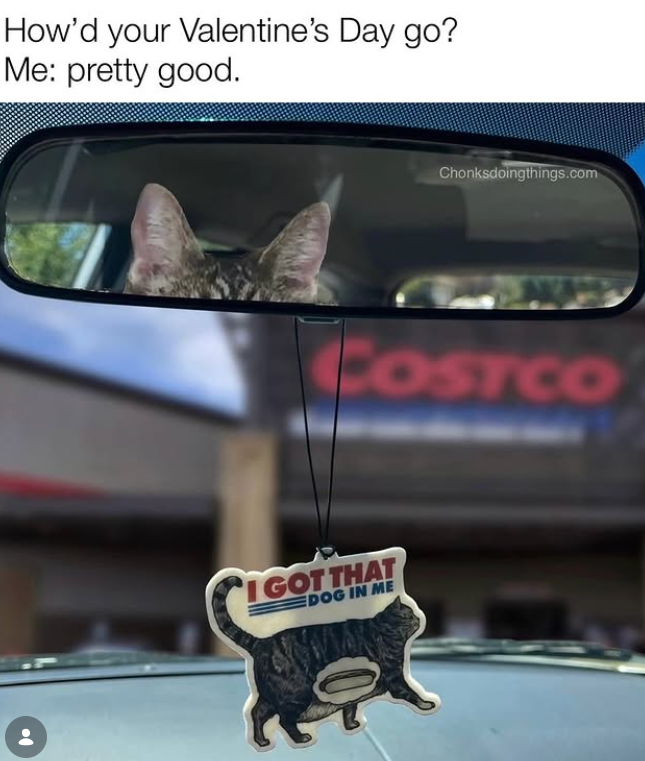 How'd your Valentine's Day go? Me: pretty good. Chonksdoingthings.com COSTCO IGOT THAT DOG IN ME