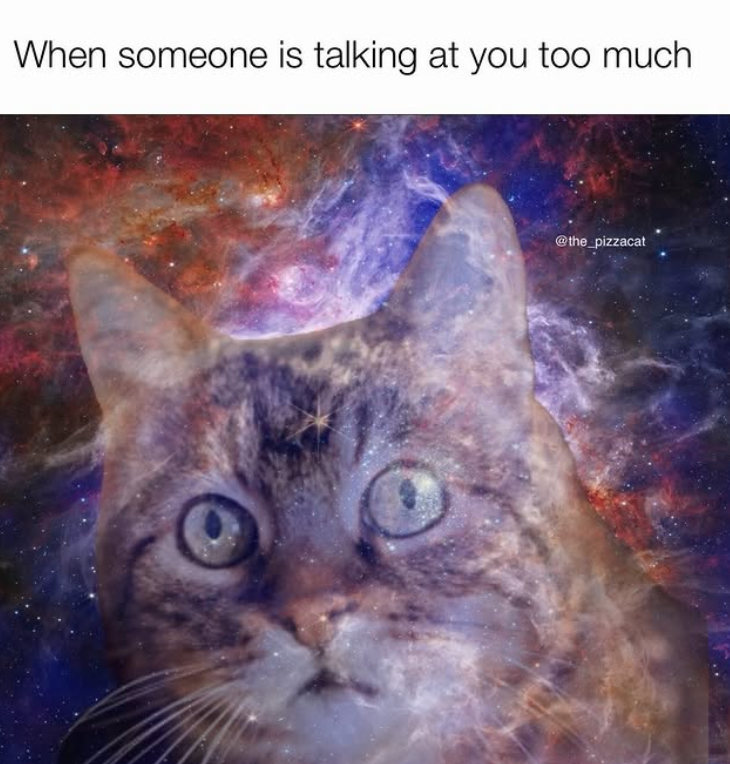 When someone is talking at you too much @the_pizzacat