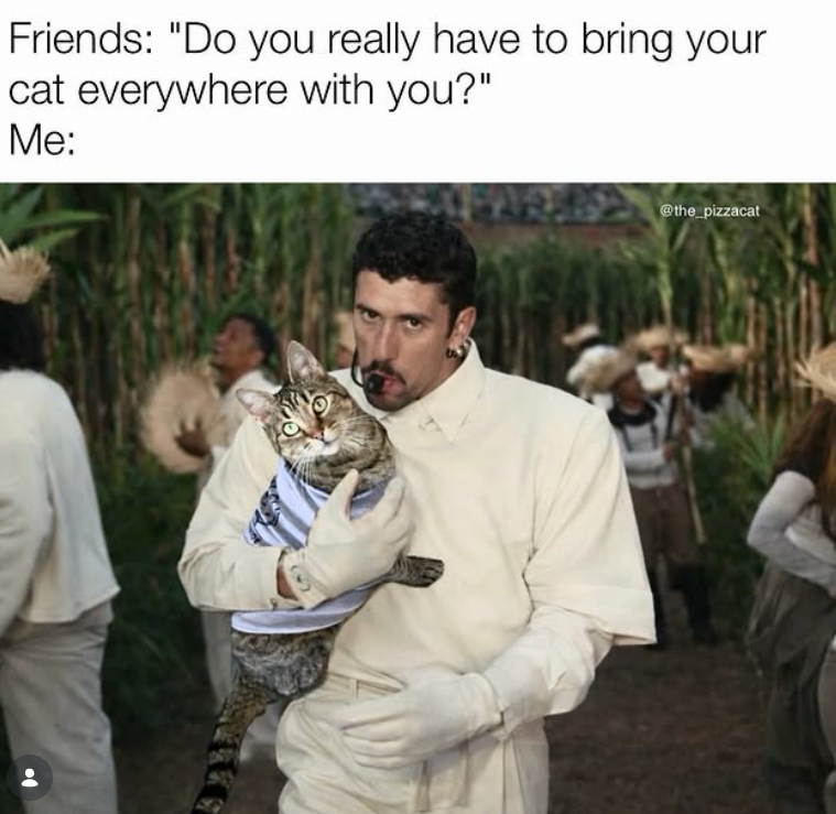 Friends: "Do you really have to bring your cat everywhere with you?" Me: @the_pizzacat