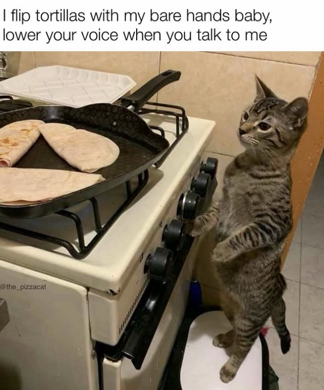 I flip tortillas with my bare hands baby, lower your voice when you talk to me @the_pizzacat
