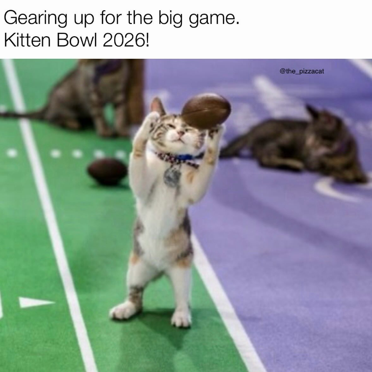 Gearing up for the big game. Kitten Bowl 2026! @the_pizzacat