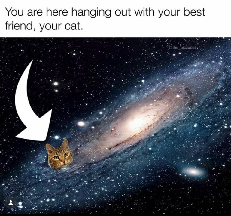 You are here hanging out with your best friend, your cat. @the pizzacat: