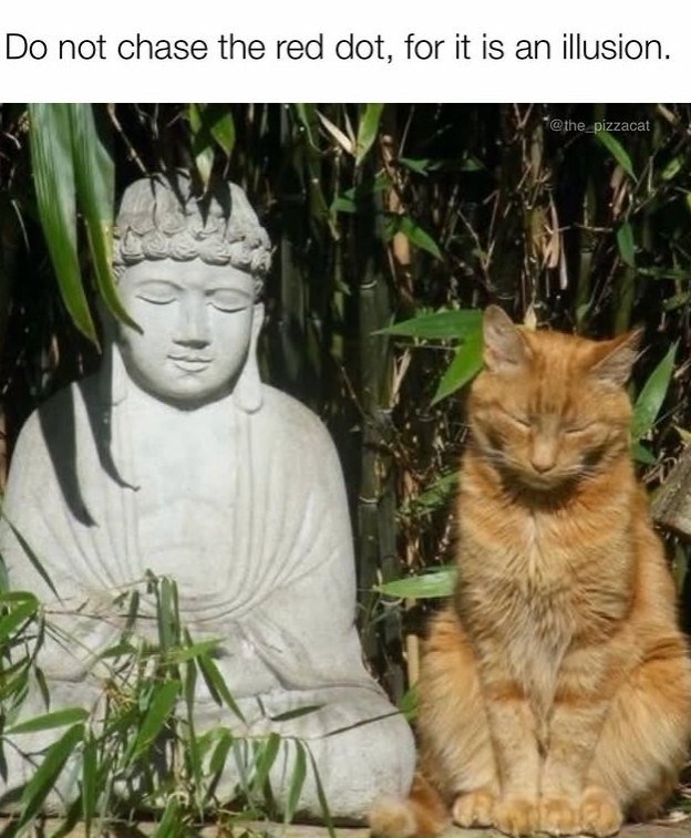 Do not chase the red dot, for it is an illusion. @the_pizzacat