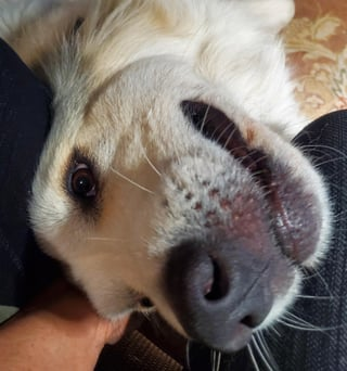 Cheezburger Image 10613856512