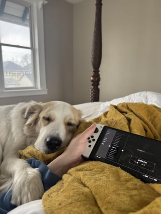 Cheezburger Image 10613857024