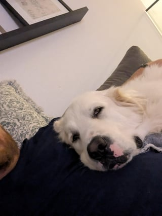 Cheezburger Image 10613857536