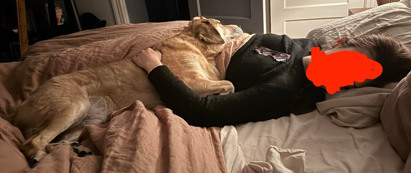 Cheezburger Image 10613858304