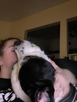 Cheezburger Image 10613859328