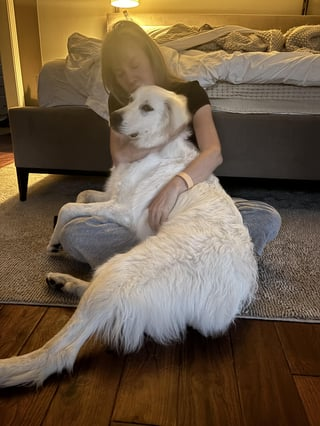 Cheezburger Image 10613859840