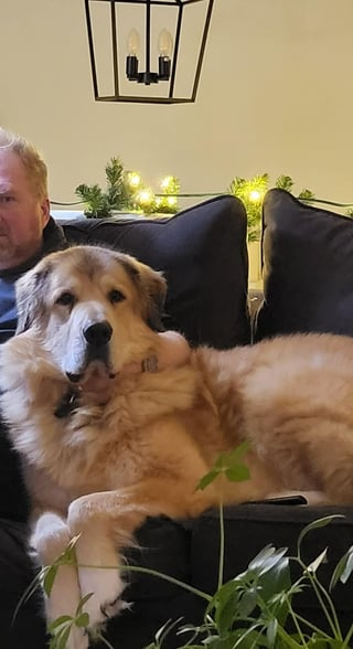 Cheezburger Image 10613860096