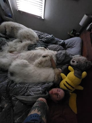 Cheezburger Image 10613860864