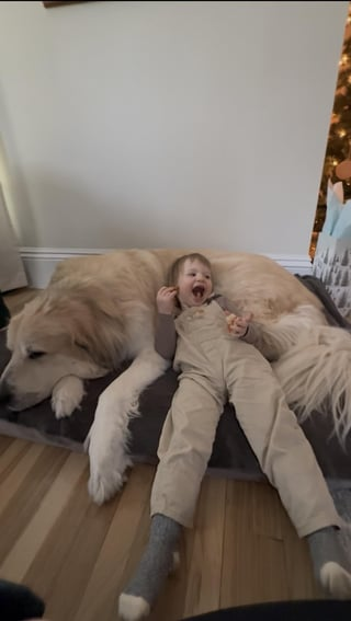 Cheezburger Image 10613861376