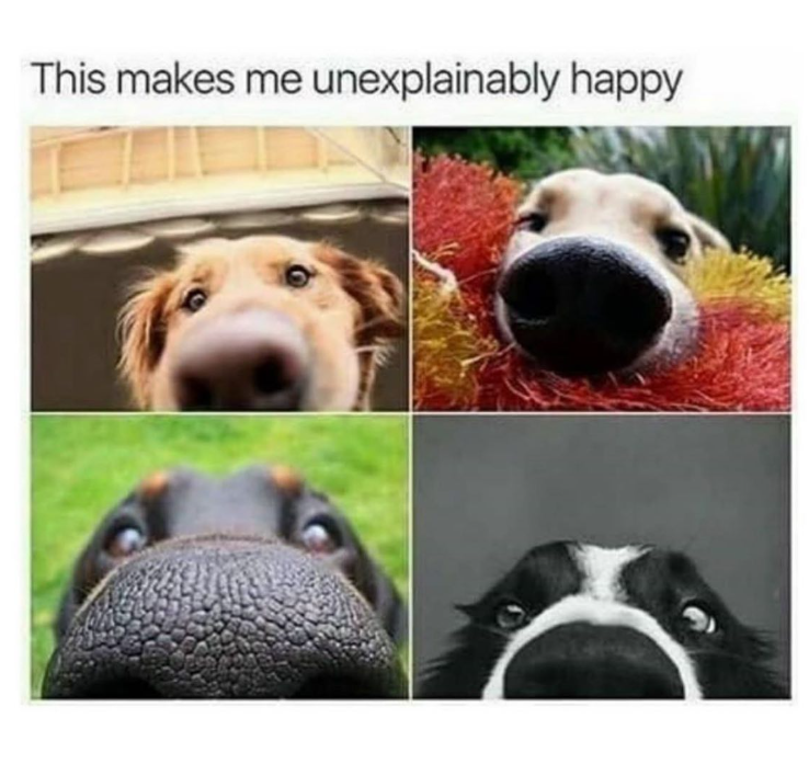 This makes me unexplainably happy