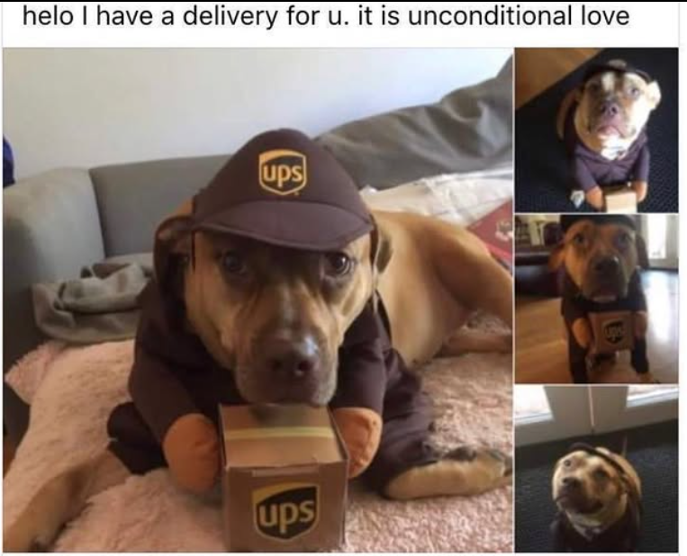 helo I have a delivery for u. it is unconditional love ups ups