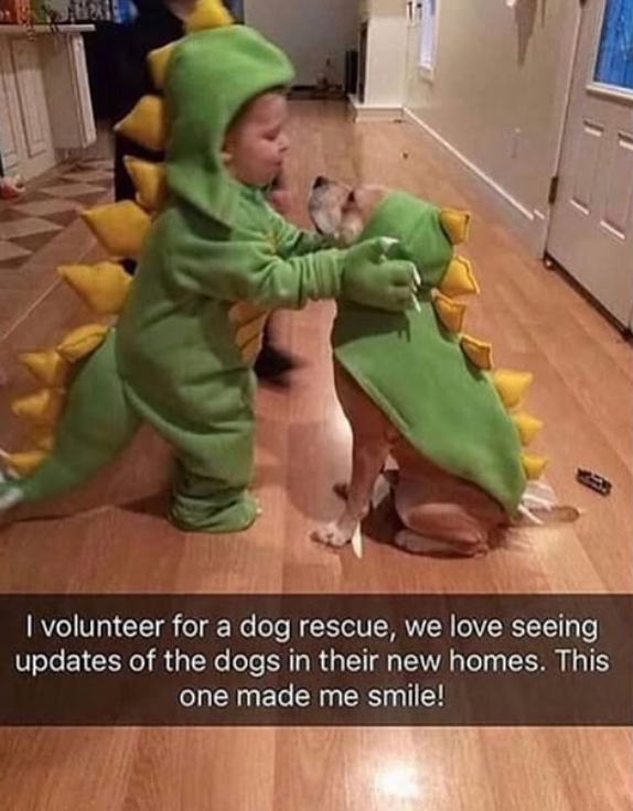 I volunteer for a dog rescue, we love seeing updates of the dogs in their new homes. This one made me smile!