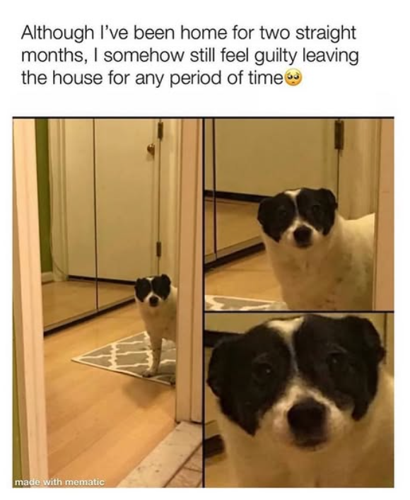 Although I've been home for two straight months, I somehow still feel guilty leaving the house for any period of time made with mematic