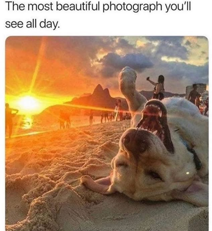 The most beautiful photograph you'll see all day.