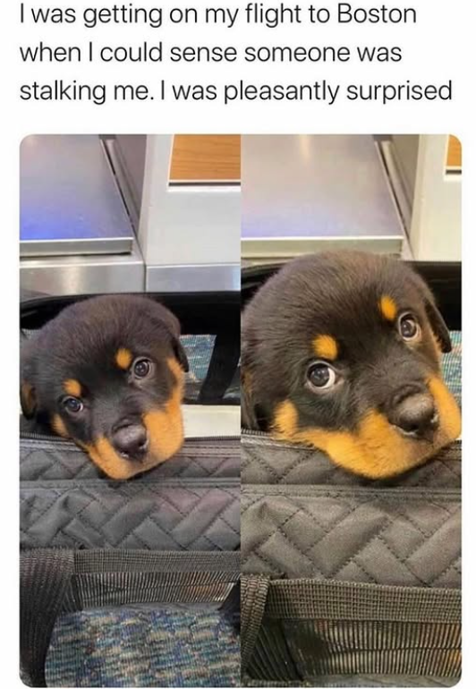 I was getting on my flight to Boston when I could sense someone was stalking me. I was pleasantly surprised