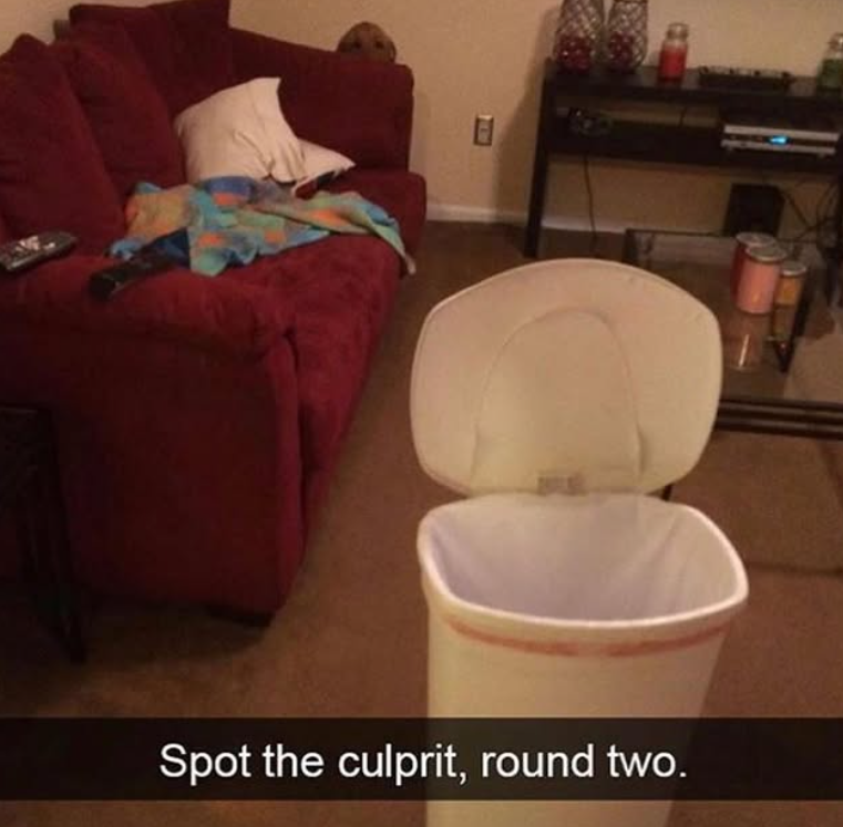 E Spot the culprit, round two.