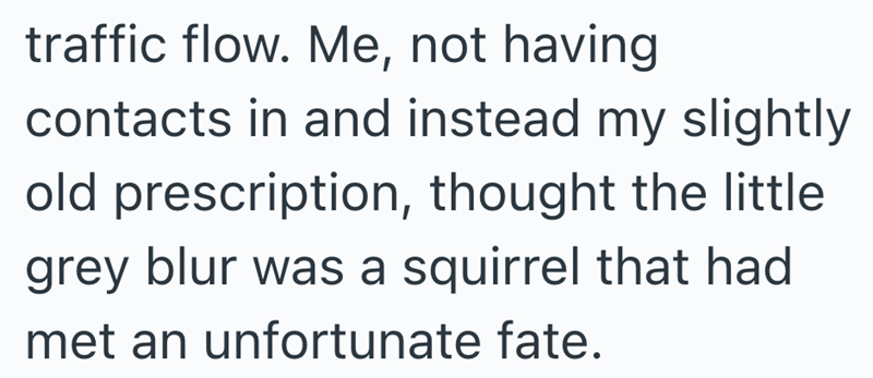 traffic flow. Me, not having contacts in and instead my slightly old prescription, thought the little grey blur was a squirrel that had met an unfortunate fate.