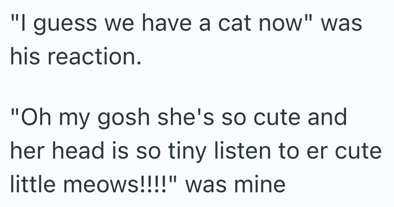 "I guess we have a cat now" was his reaction. "Oh my gosh she's so cute and her head is so tiny listen to er cute little meows!!!!" was mine