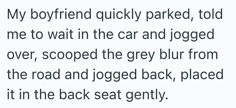 My boyfriend quickly parked, told me to wait in the car and jogged over, scooped the grey blur from the road and jogged back, placed it in the back seat gently.