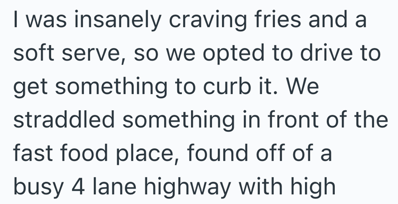 I was insanely craving fries and a soft serve, so we opted to drive to get something to curb it. We straddled something in front of the fast food place, found off of a busy 4 lane highway with high