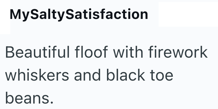 MySaltySatisfaction Beautiful floof with firework whiskers and black toe beans.