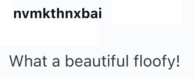 nvmkthnxbai What a beautiful floofy!