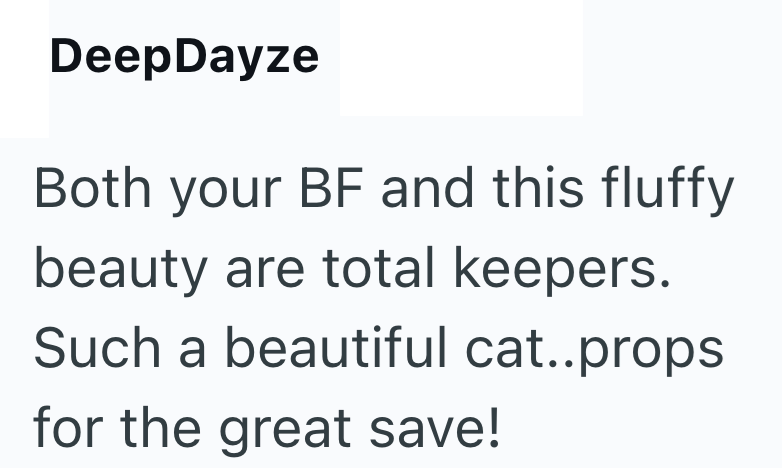 DeepDayze Both your BF and this fluffy beauty are total keepers. Such a beautiful cat..props for the great save!