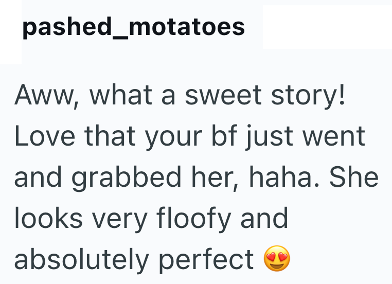 pashed_motatoes Aww, what a sweet story! Love that your bf just went and grabbed her, haha. She looks very floofy and absolutely perfect