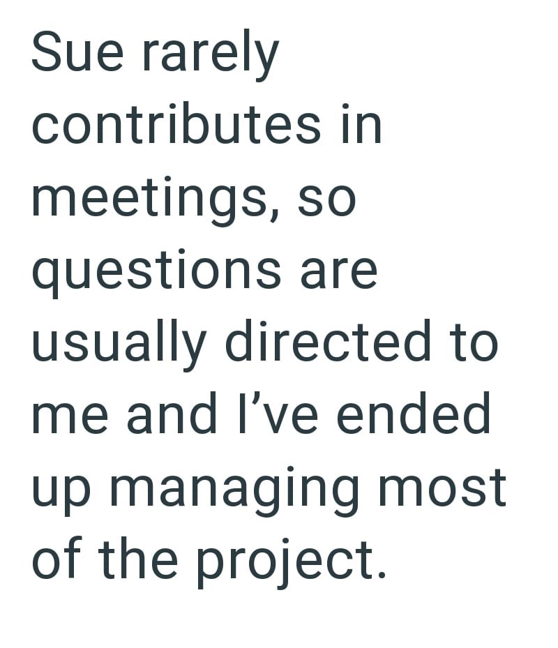 Sue rarely contributes in meetings, so questions are usually directed to me and I've ended up managing most of the project.