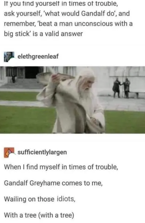 If you find yourself in times of trouble, ask yourself, 'what would Gandalf do', and remember, 'beat a man unconscious with a big stick' is a valid answer elethgreenleaf sufficientlylargen When I find myself in times of trouble, Gandalf Greyhame comes to me, Wailing on those idiots, With a tree (with a tree)