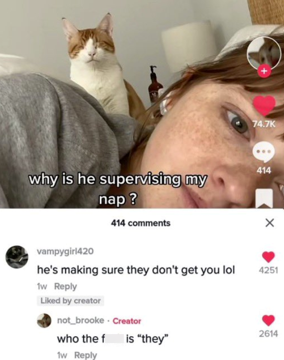 why is he supervising my nap? 414 comments vampygirl420 he's making sure they don't get you lol 1w Reply Liked by creator not brooke Creator 74.7K 414 4251 2614 who the f is "they" 1w Reply