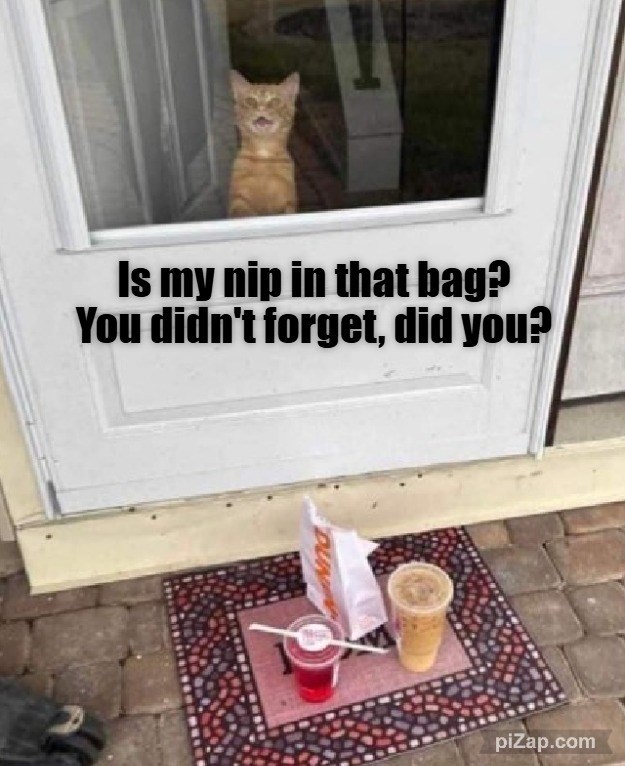 Cheezburger Image 10613921280